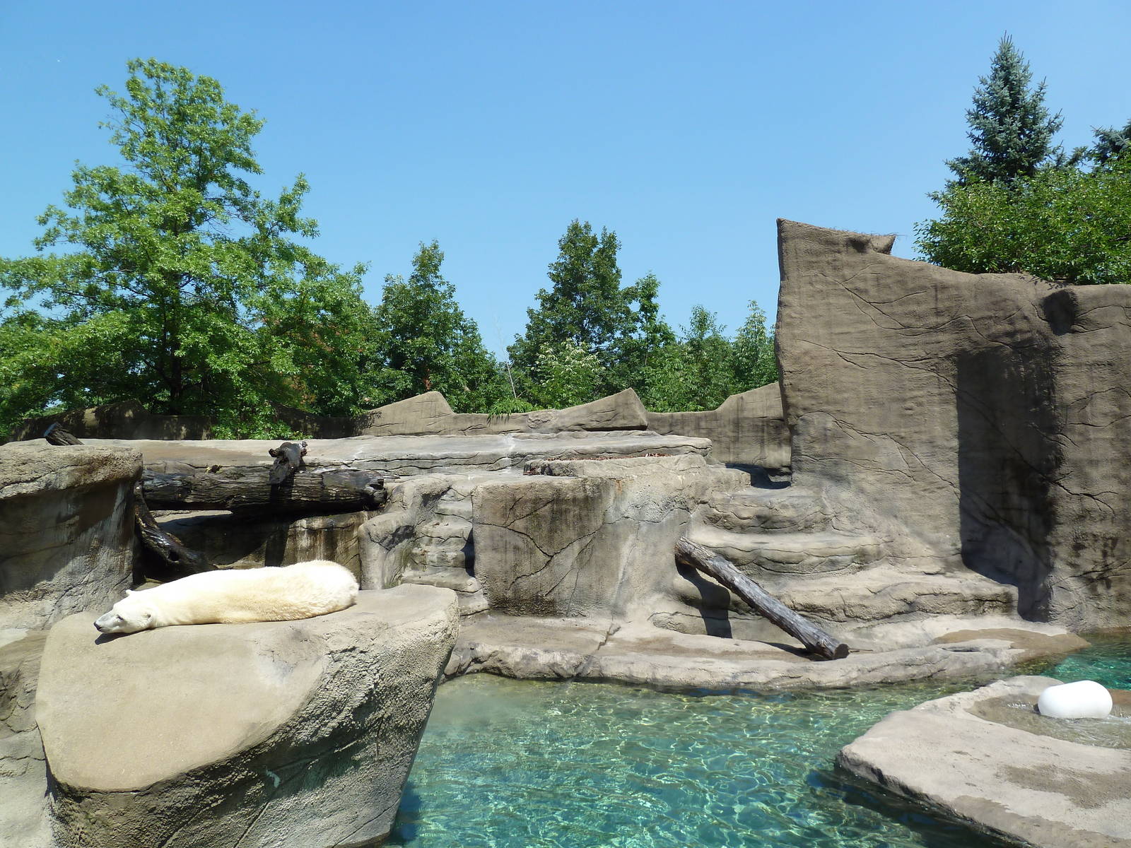 Northern Trek - Polar Bear Exhibit