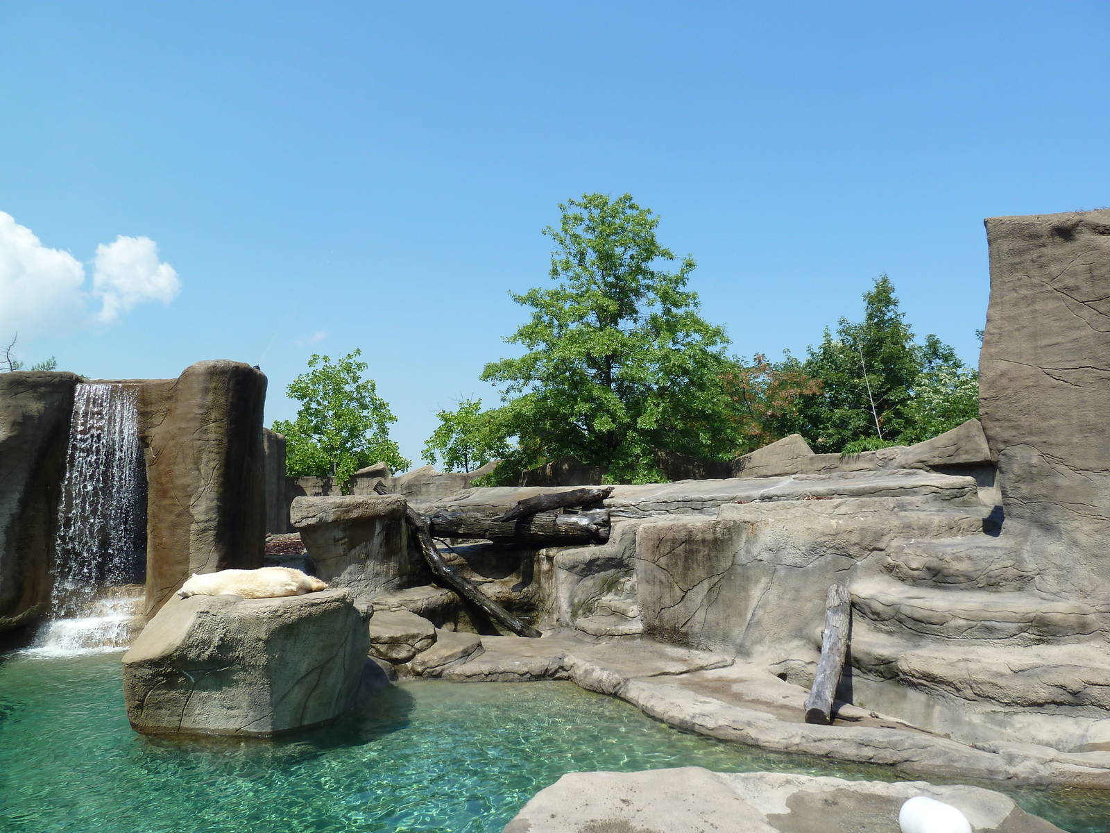 Northern Trek - Polar Bear Exhibit