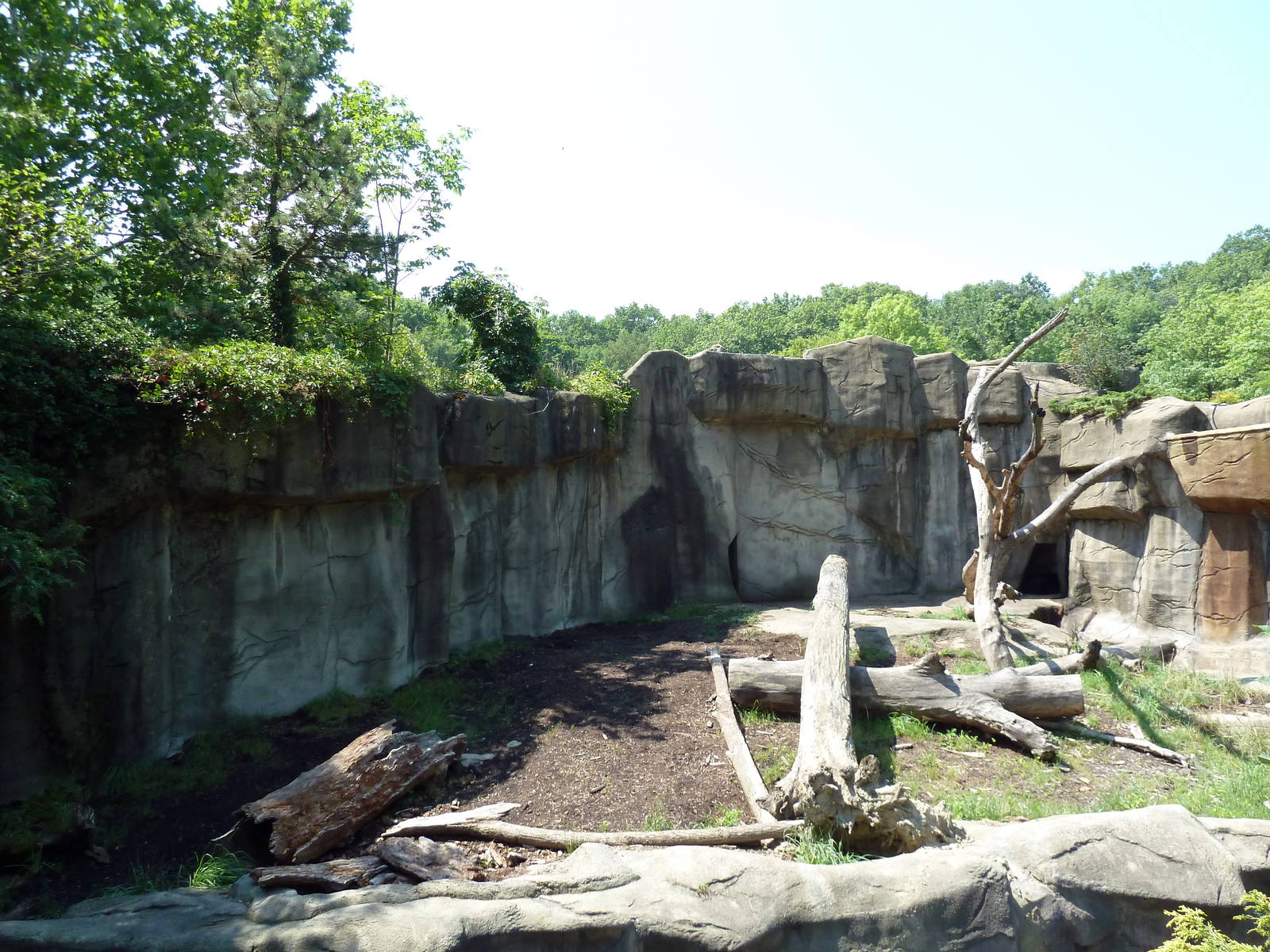 Northern Trek - Sloth Bear Exhibit