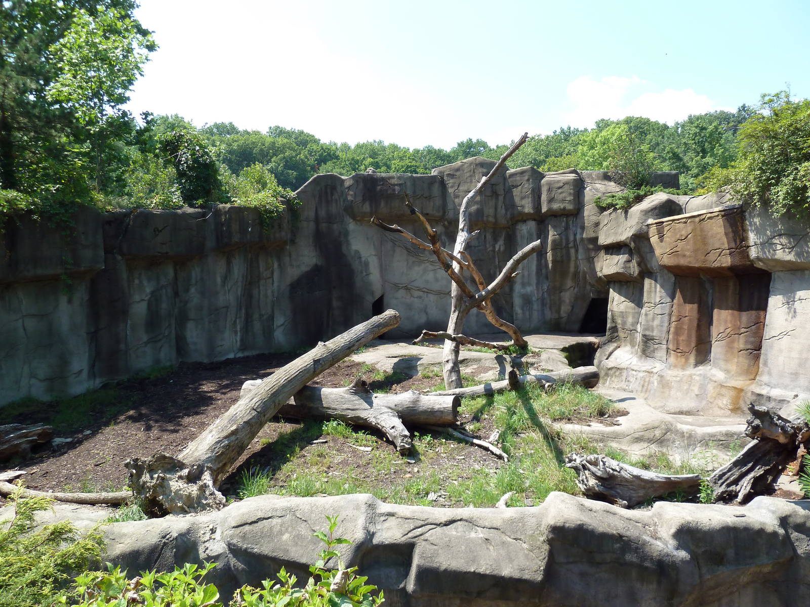 Northern Trek - Sloth Bear Exhibit