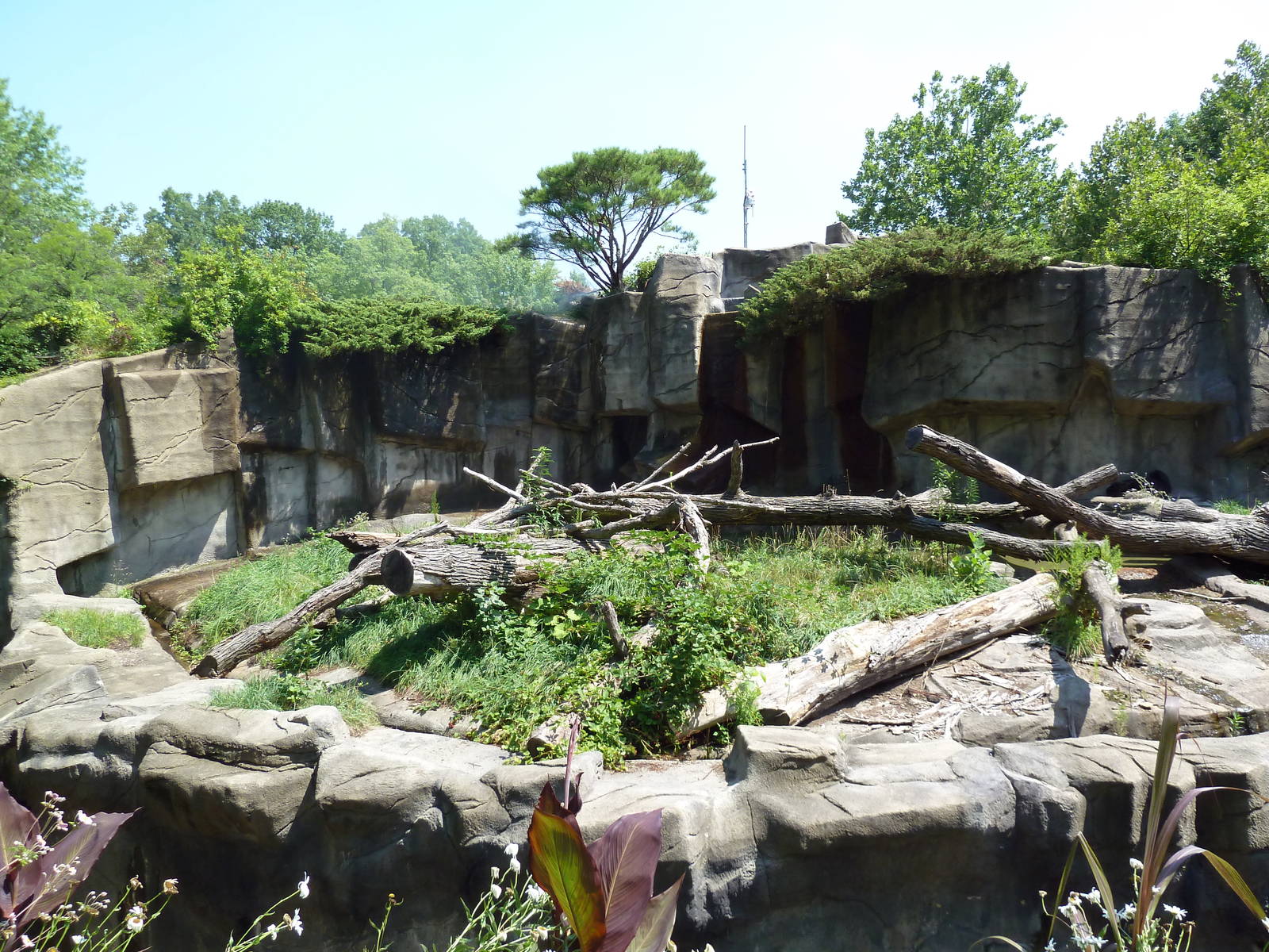Northern Trek - Spectacled Bear Exhibit