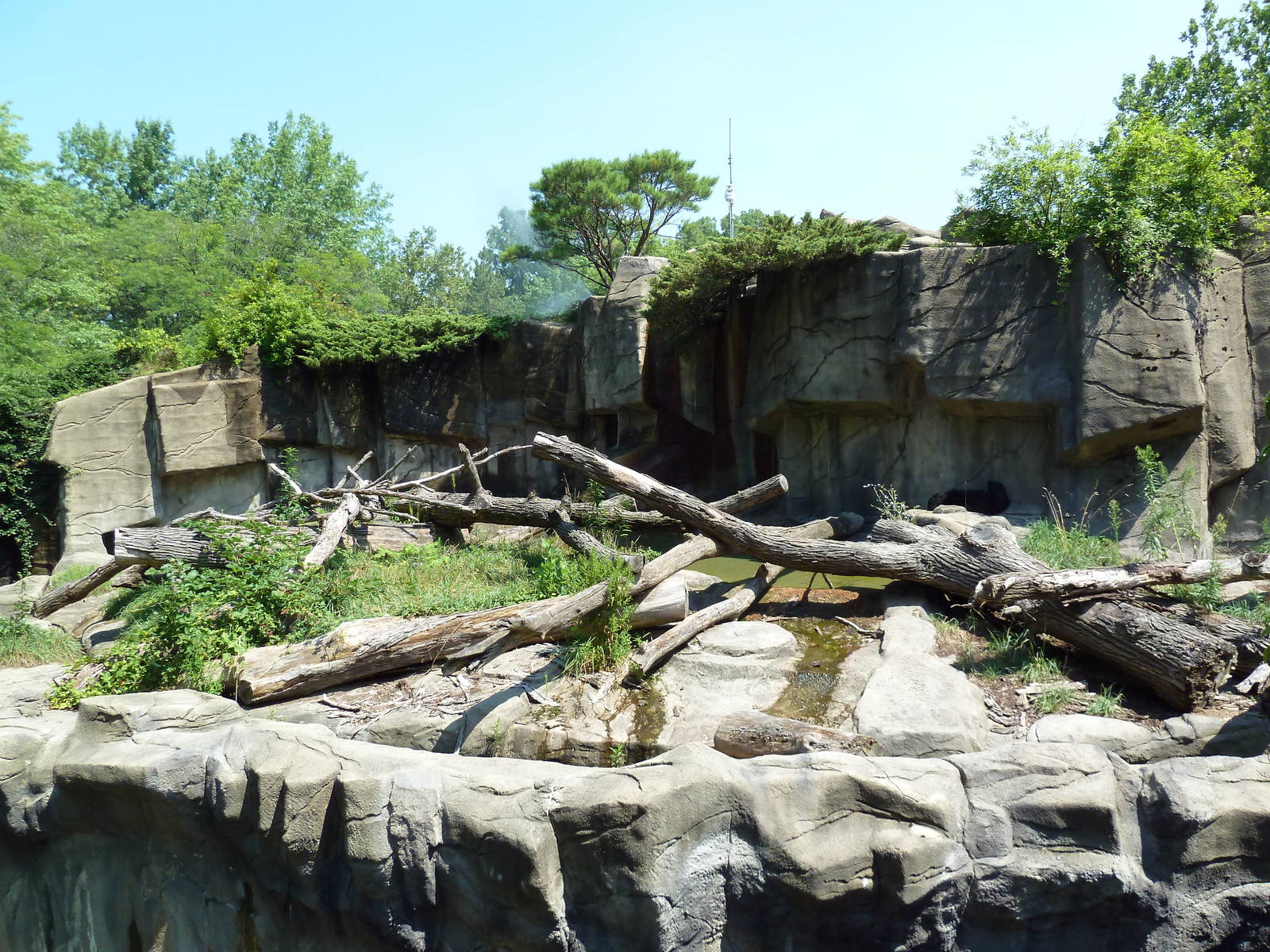 Northern Trek - Spectacled Bear Exhibit