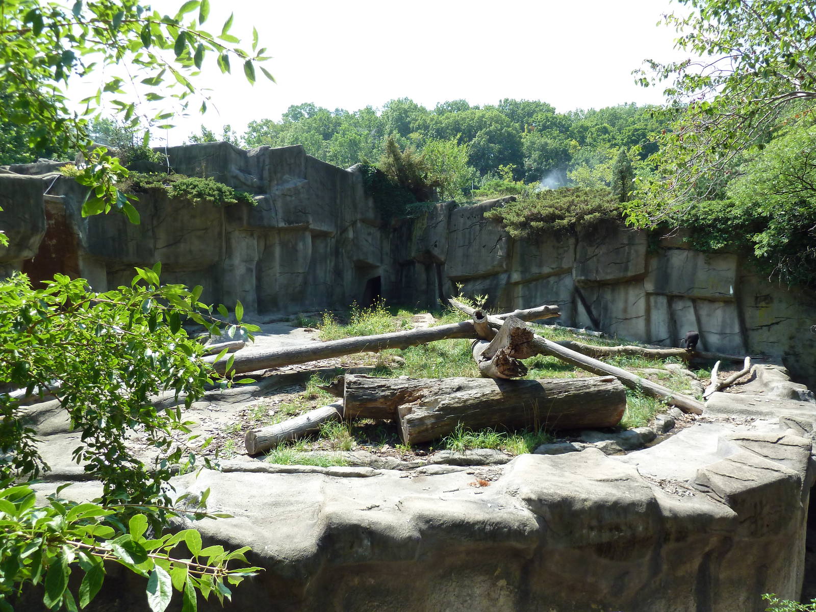 Northern Trek - Sun Bear Exhibit