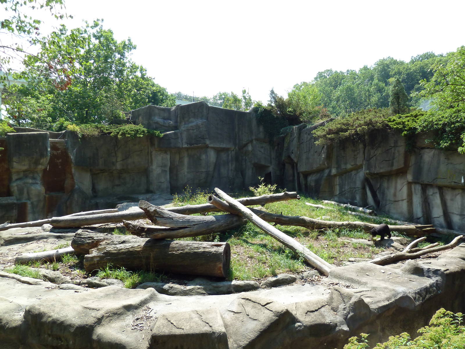 Northern Trek - Sun Bear Exhibit