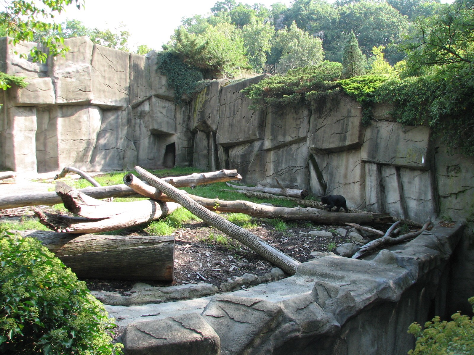 Northern Trek - Sun Bear Exhibit