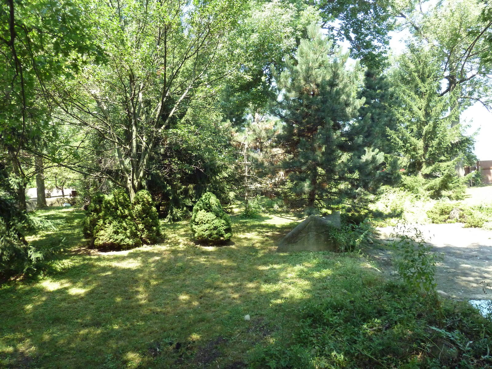 Northern Trek - Tufted Deer/Red Crowned Crane Exhibit