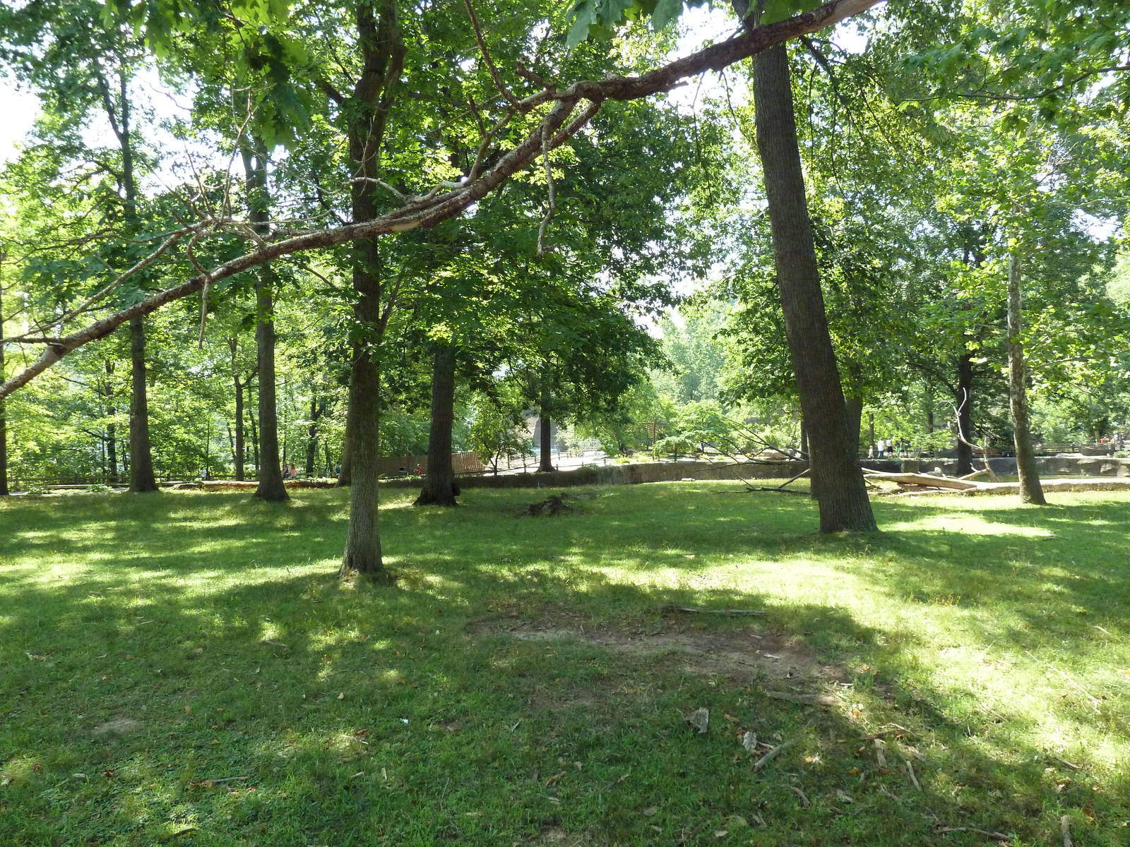 Northern Trek - White Lipped Deer Exhibit