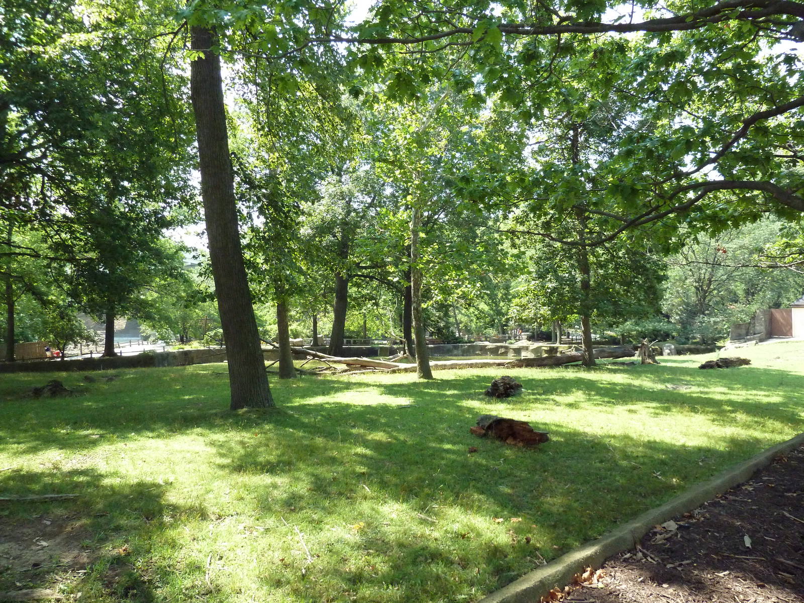 Northern Trek - White Lipped Deer Exhibit