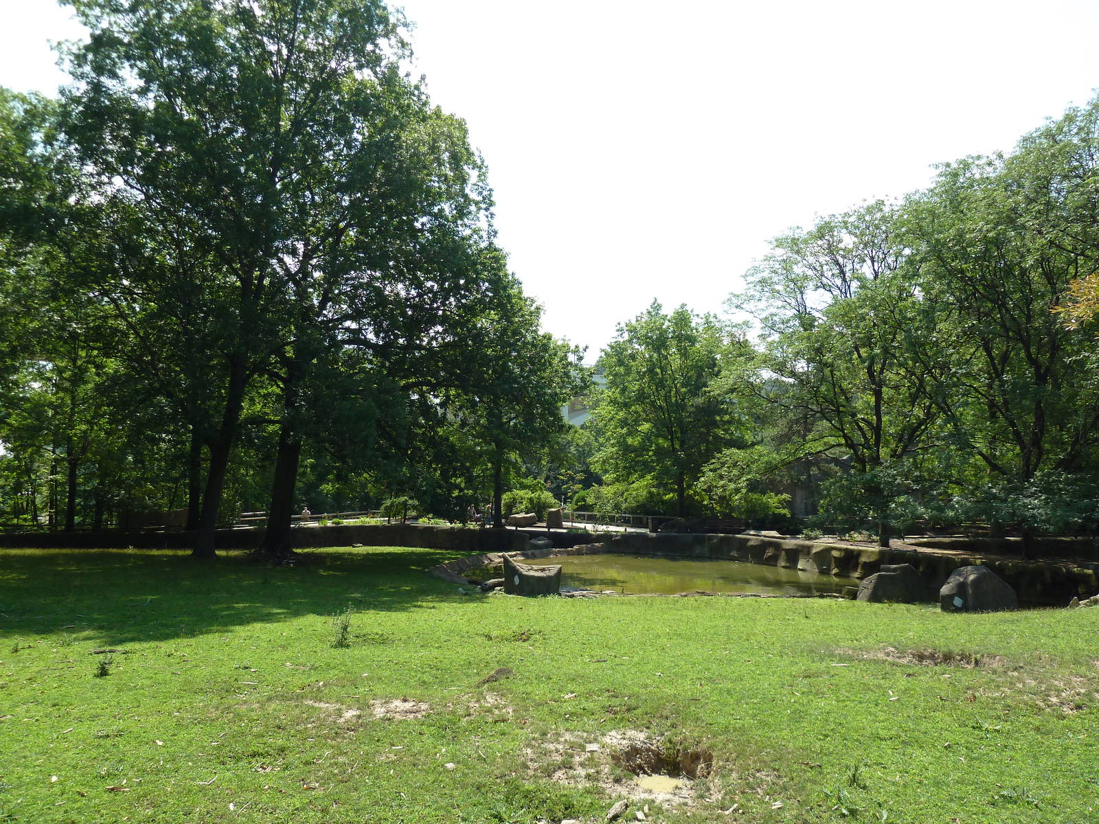 Northern Trek - White Lipped Deer Exhibit