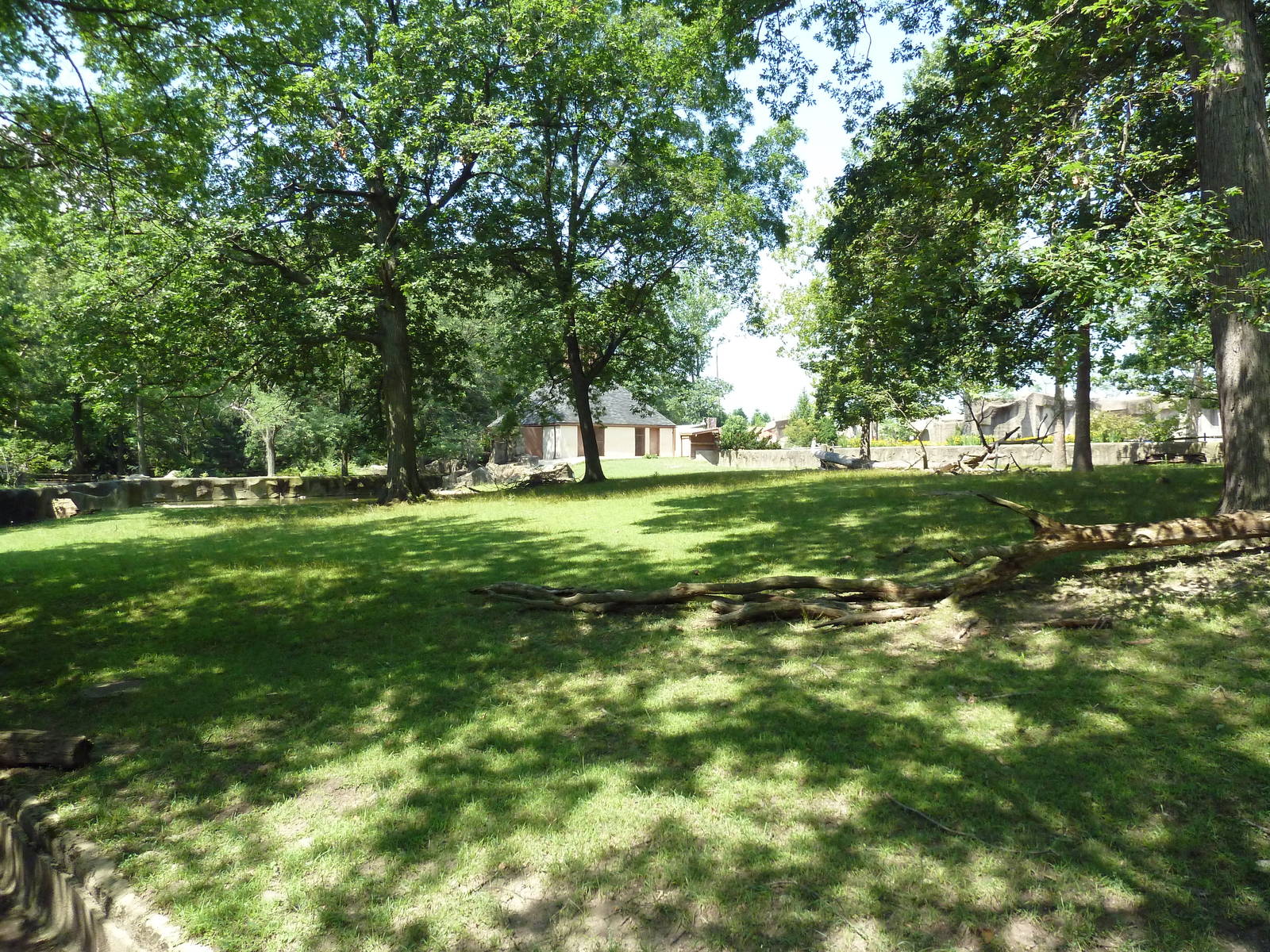 Northern Trek - White Lipped Deer Exhibit