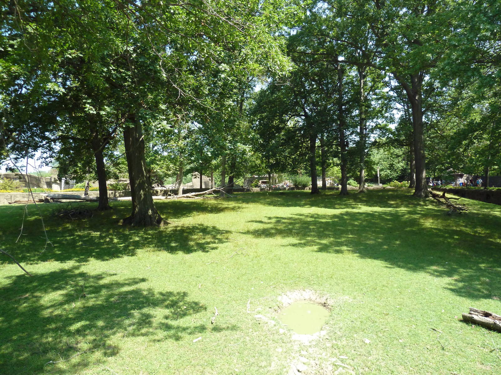 Northern Trek - White Lipped Deer Exhibit