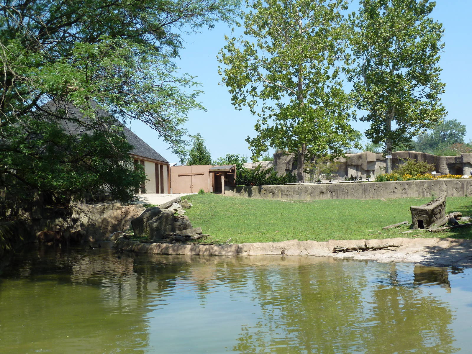 Northern Trek - White Lipped Deer Exhibit