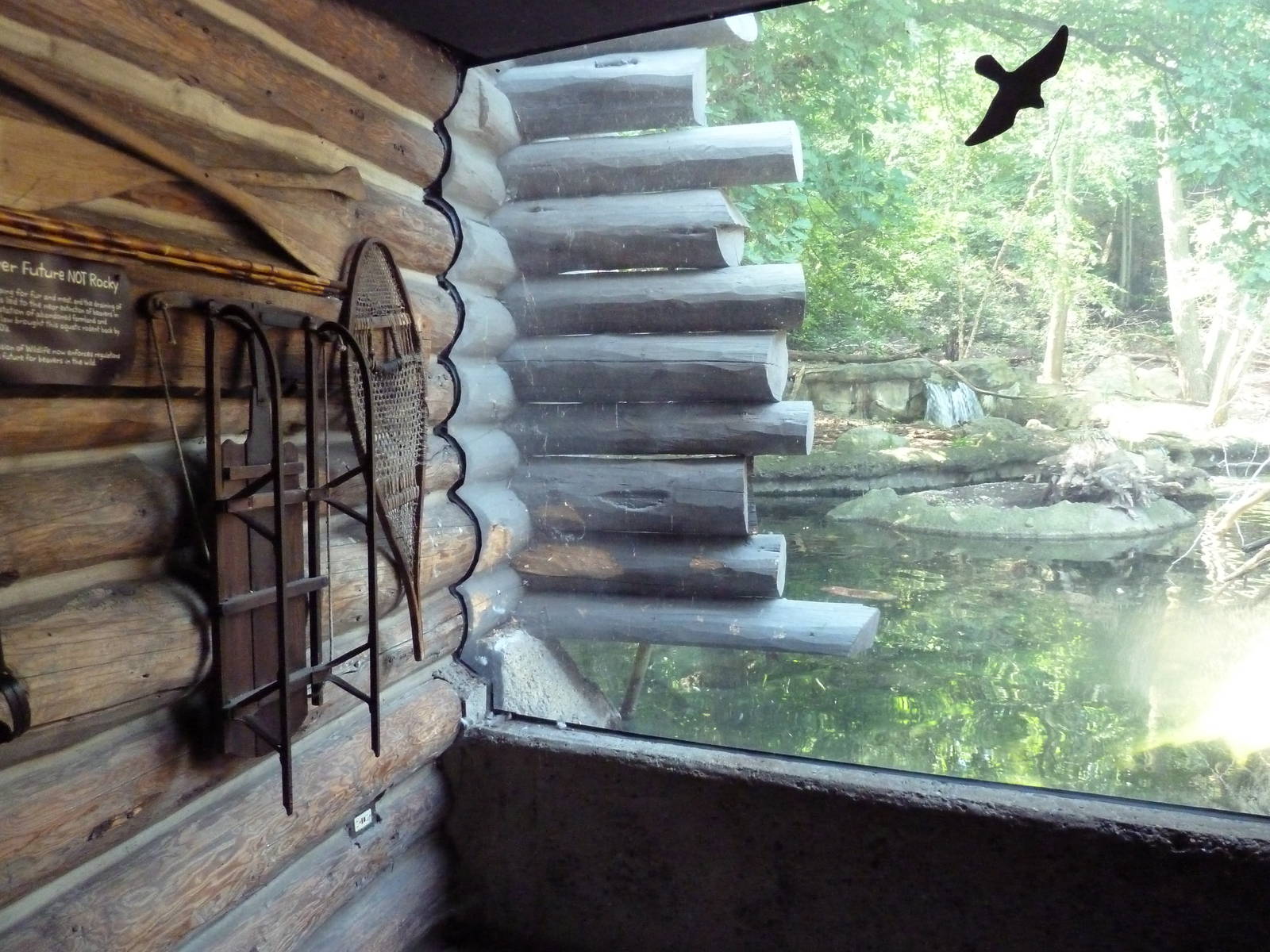 Northern Trek -Wolf Wilderness Lodge