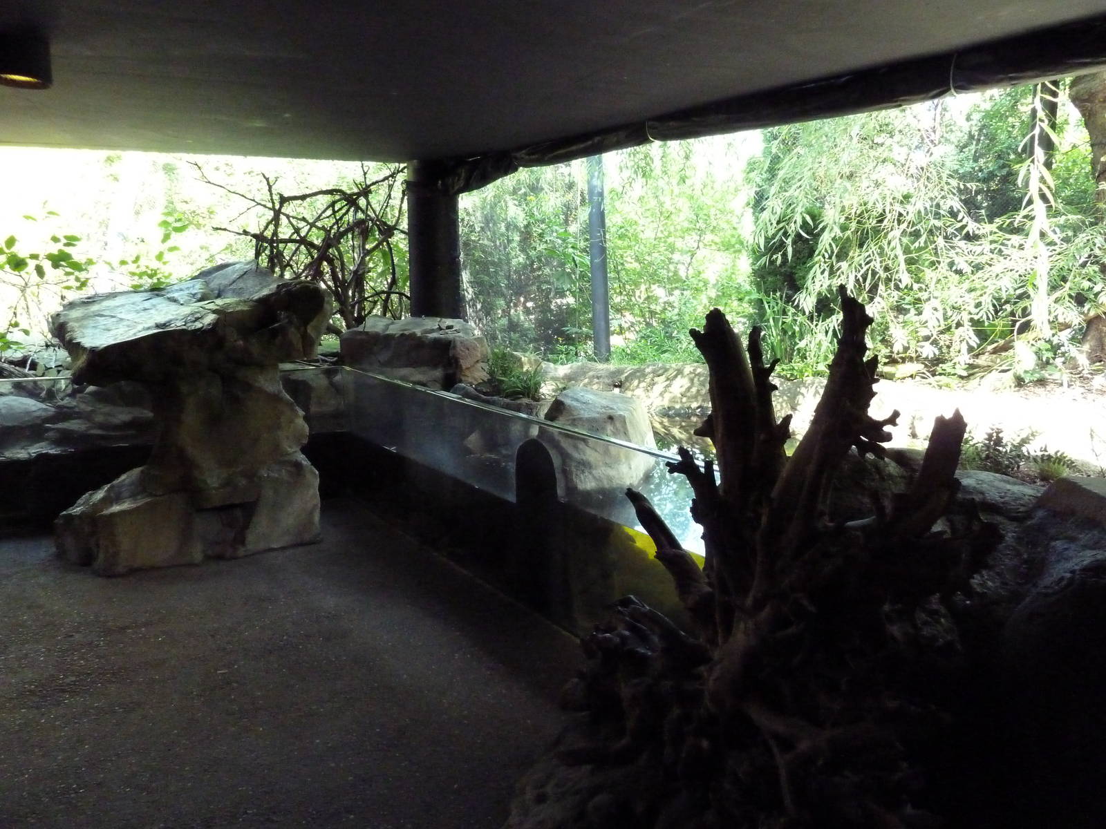 Northern Trek -Wolf Wilderness - Turtle/Fish + Bald Eagle Exhibits