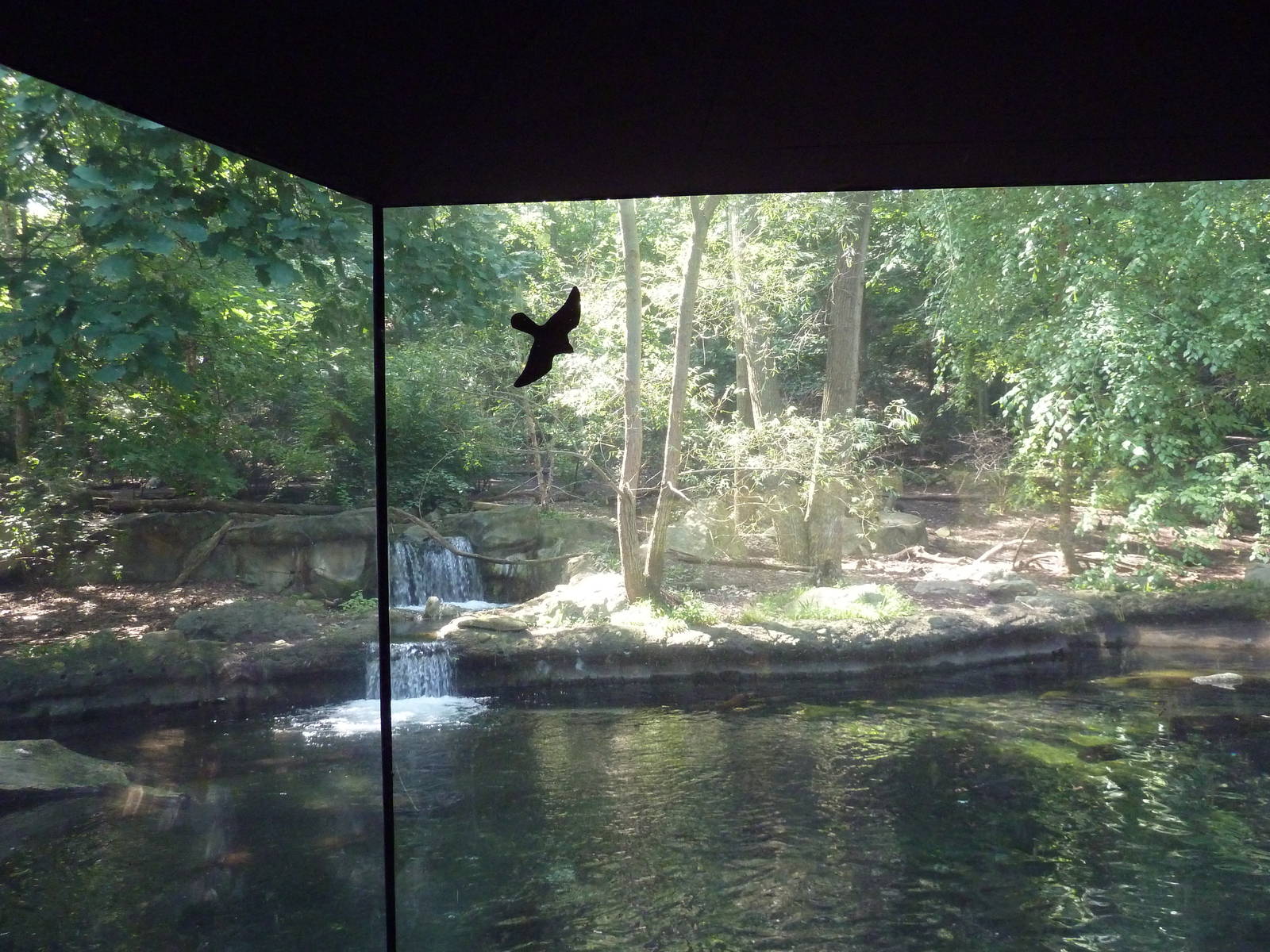 Northern Trek - Wolf Wilderness - Wolf/Beaver Exhibit