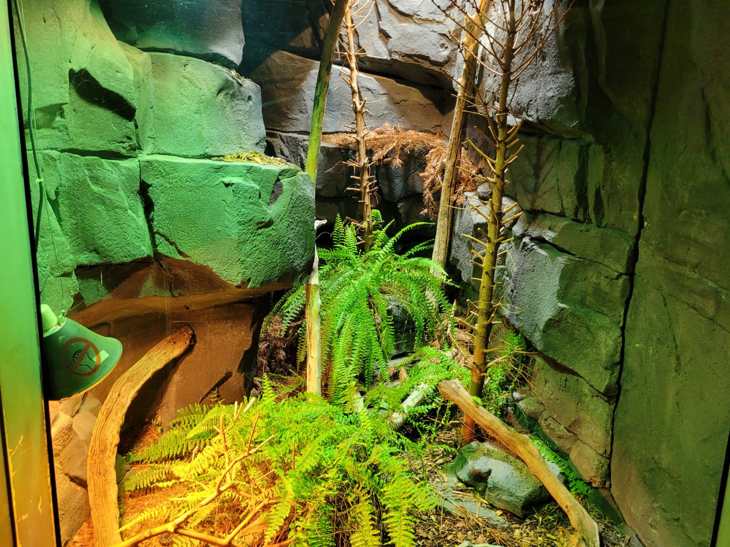 Northern viper exhibit -Parc Zoologique de Paris (2022)