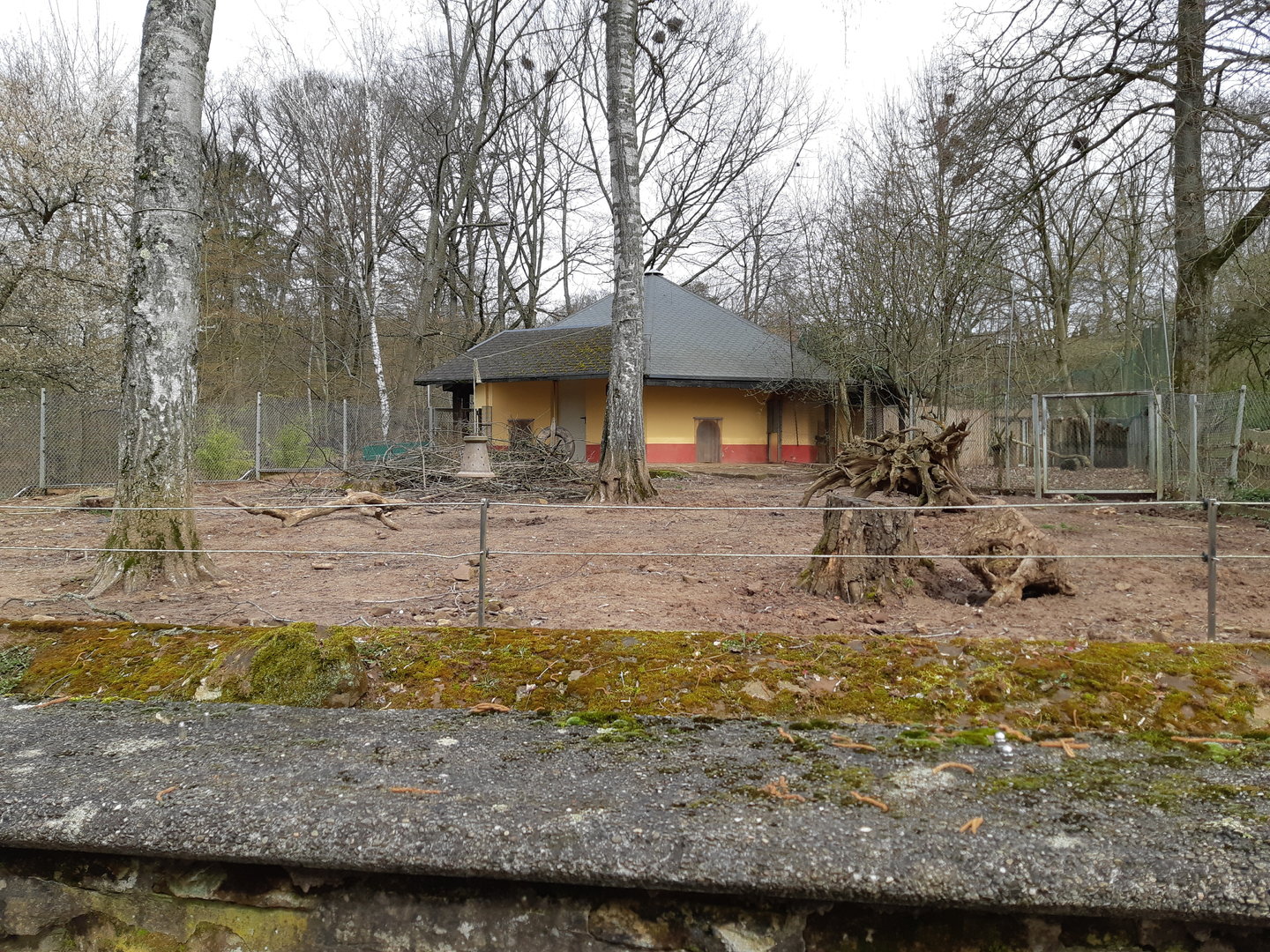 Northern warthog exhibit - Zoo Saarbrücken