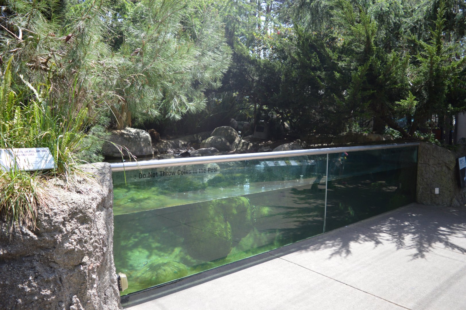 Northern Waterfowl Exhibit