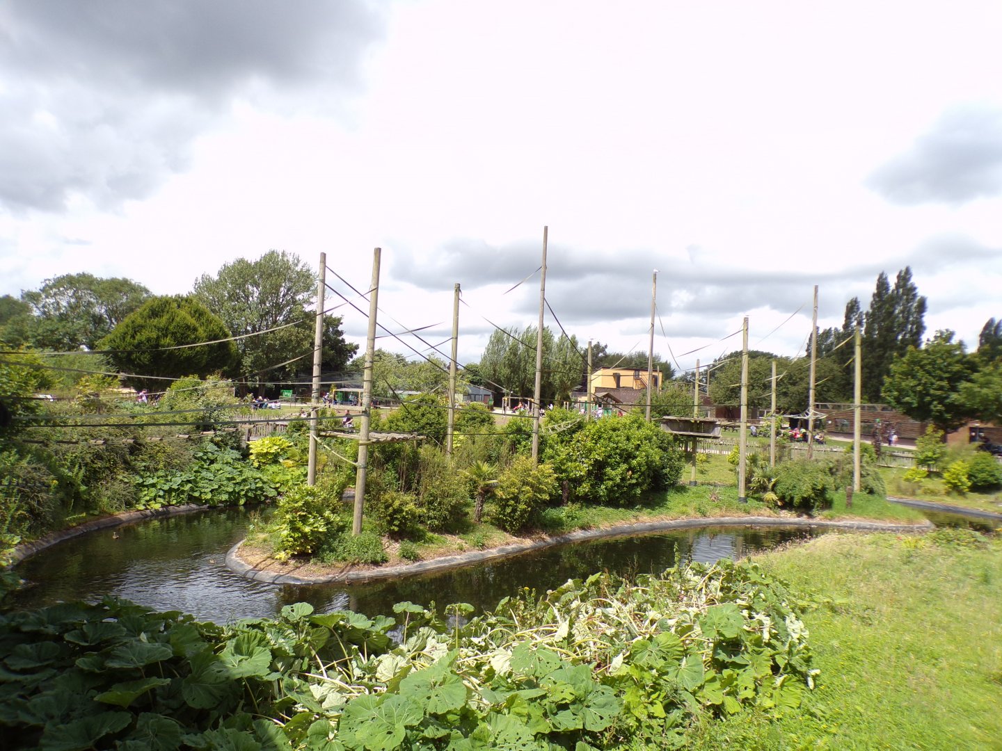 Northern white-cheeked gibbon enclosure 7.7.24