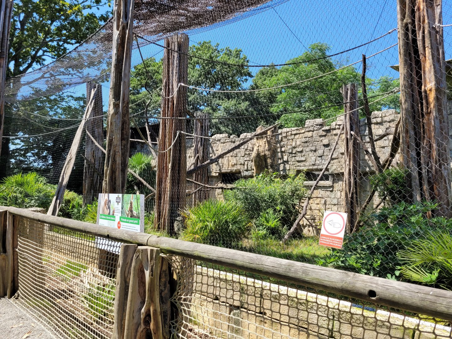 Northern white-cheeked gibbon exhibit -Zoo d'Asson (2022)