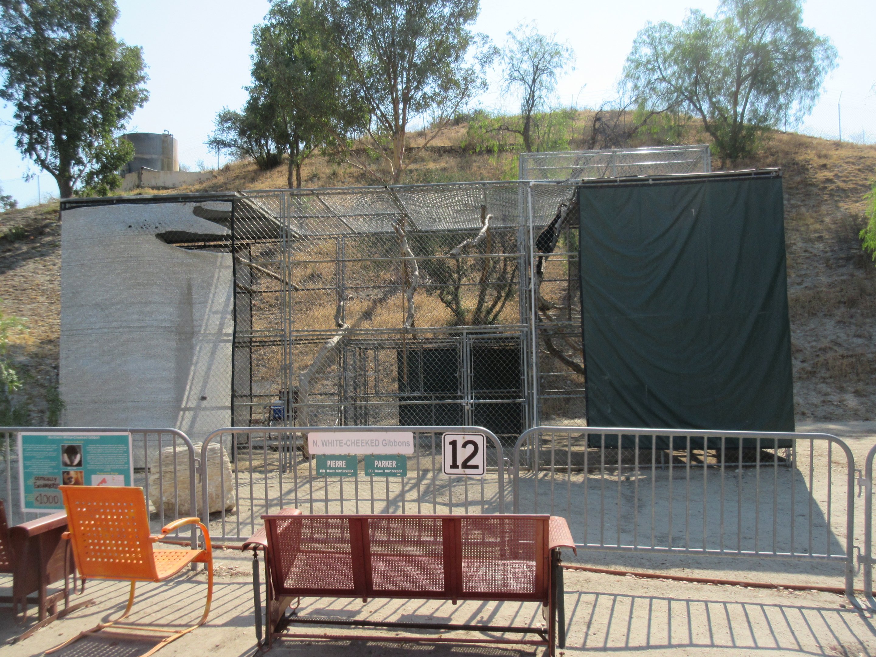 Northern White-Cheeked Gibbon Exhibit