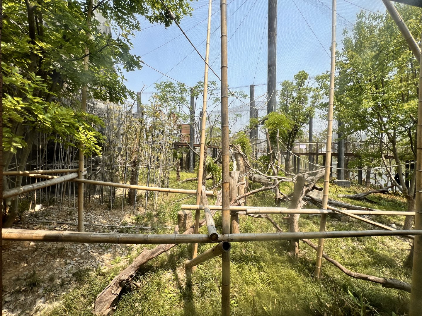 Northern White-cheeked Gibbon Exhibit