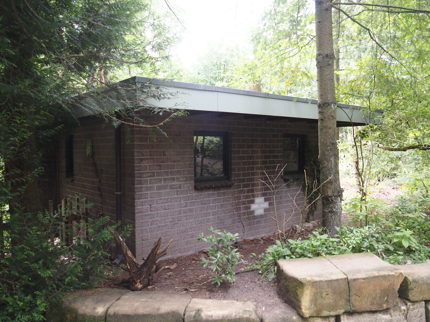 Northern white-cheeked gibbon house, 2024-08-18