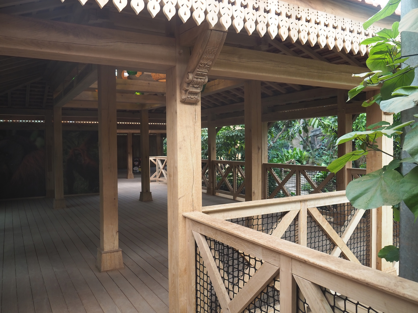 Northern white-cheeked gibbon indoor viewing lodge, 2022-07-16