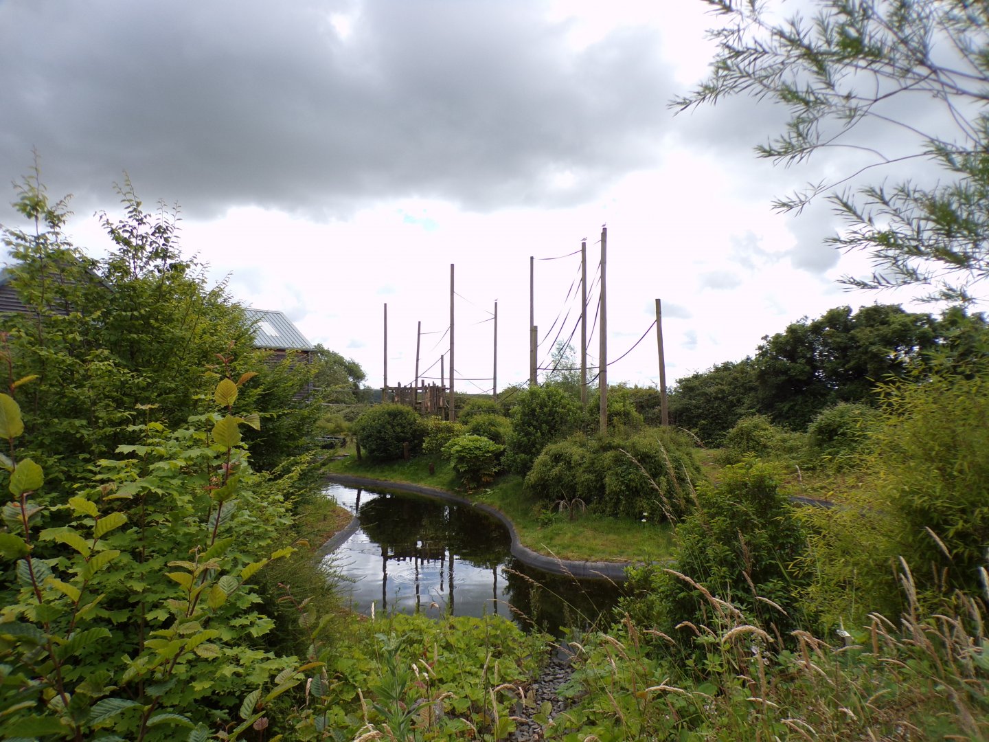 Northern white-cheeked gibbon island 7.7.24