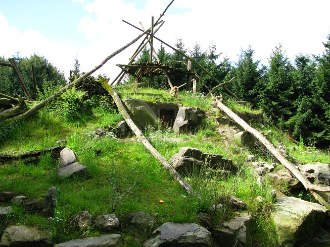 Northern white-cheeked gibbon Island
