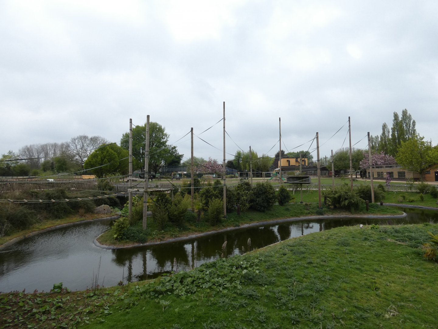 Northern white-cheeked gibbon island