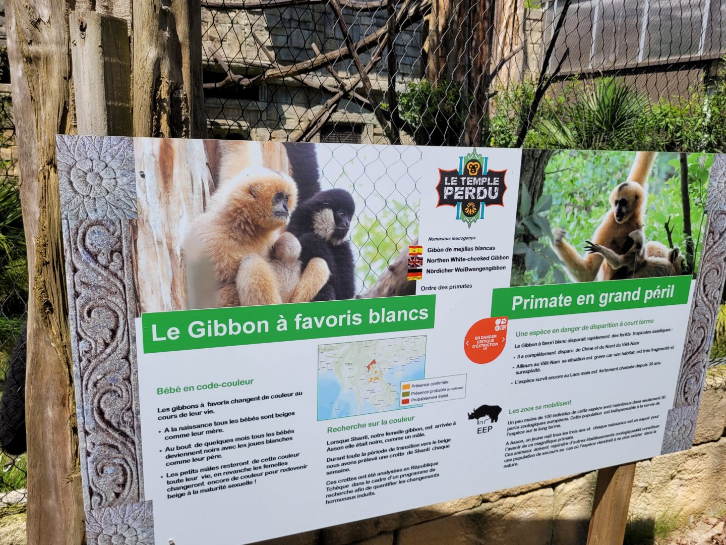 Northern white-cheeked gibbon sign -Zoo d'Asson (2022)