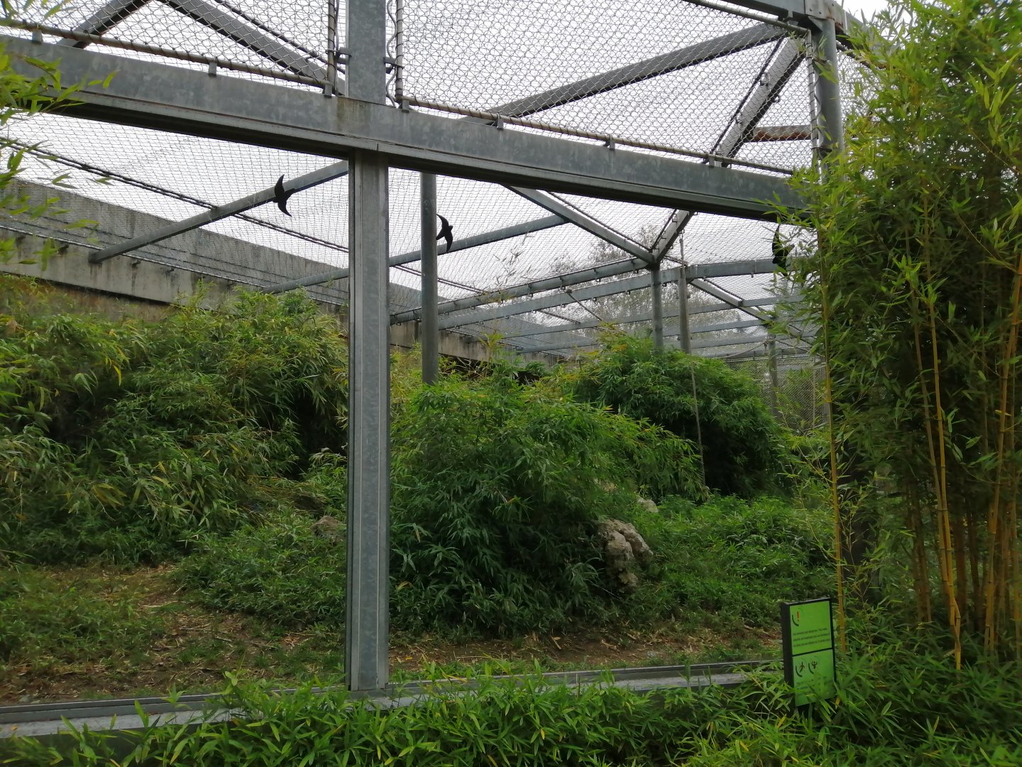 Northern White-cheeked Gibbons Exhibit
