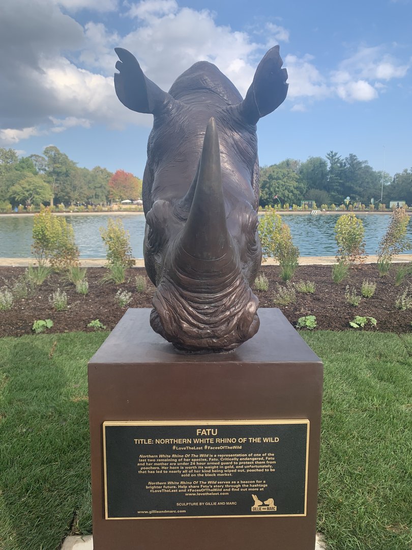 Northern white rhino sculpture