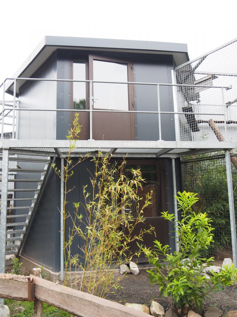 Northern yellow-throated marten and Pallas's cat house, 2022-05-17