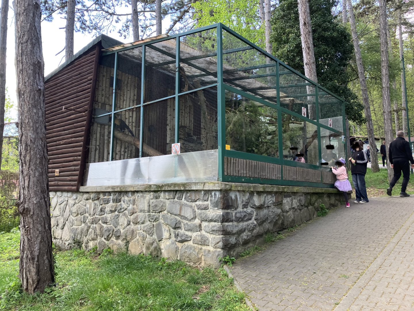 Northern yellow-throated marten cage-09/2023