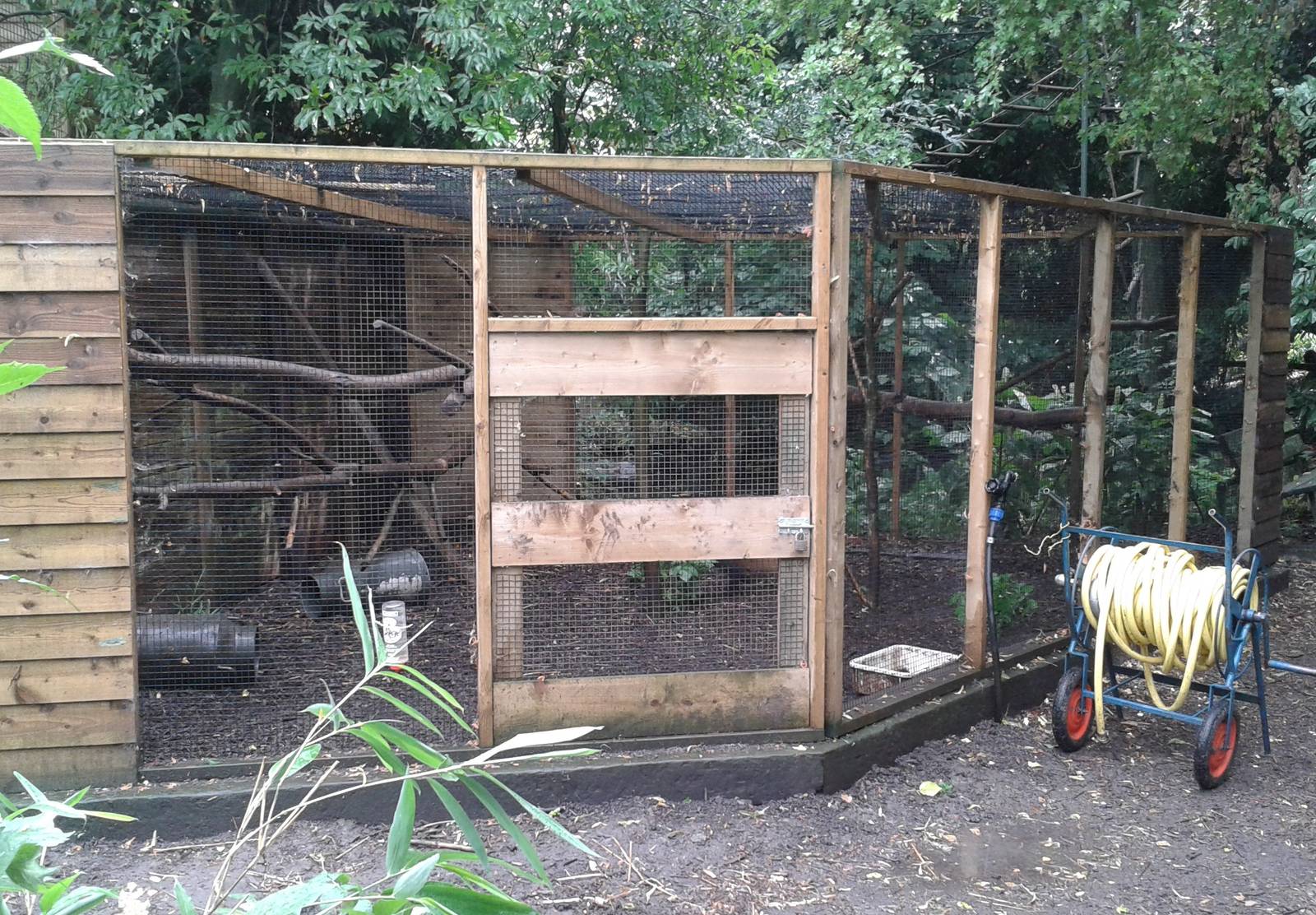 Northern yellow-throated marten enclosure