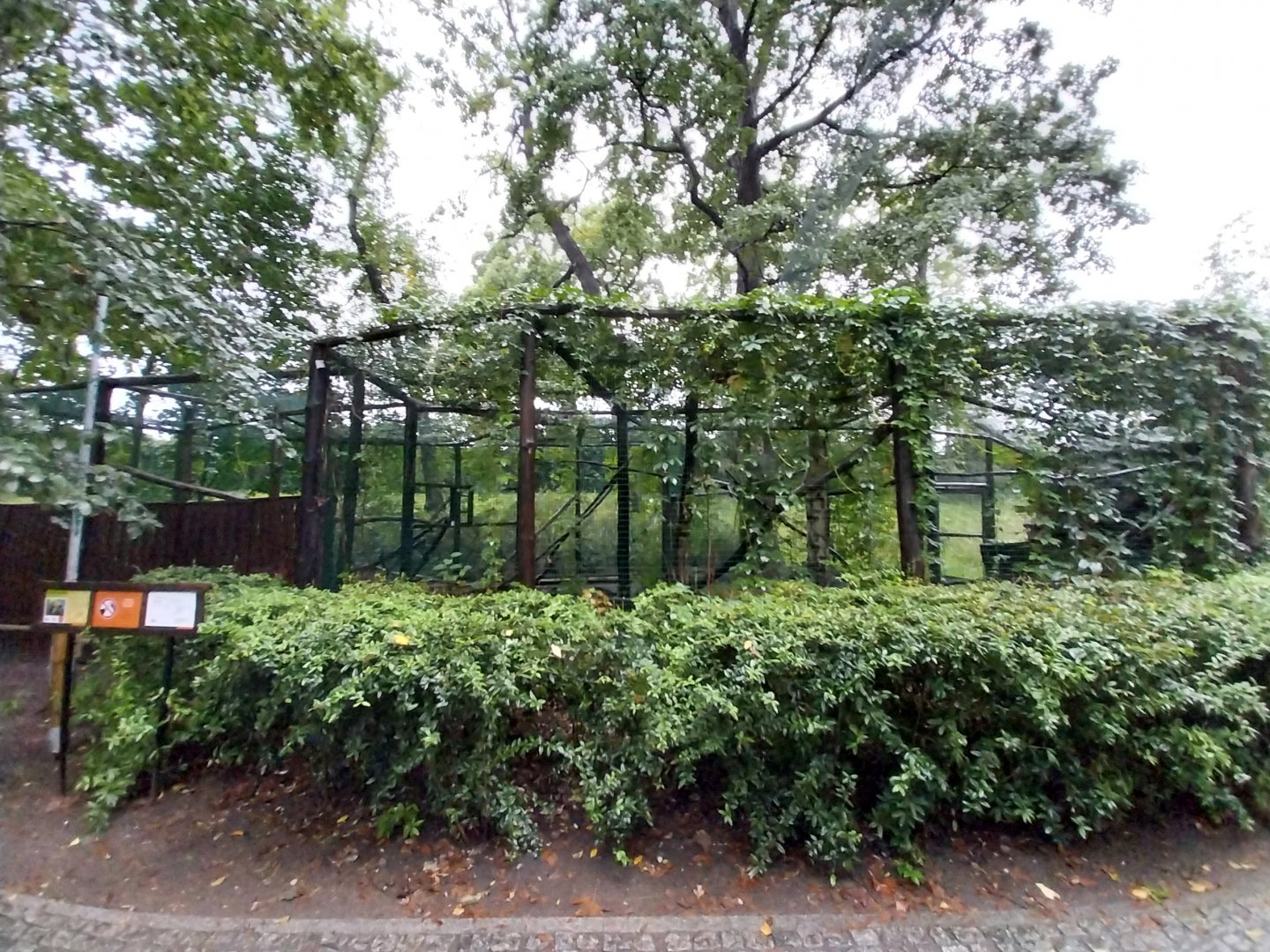 Northern yellow-throated marten enclosure