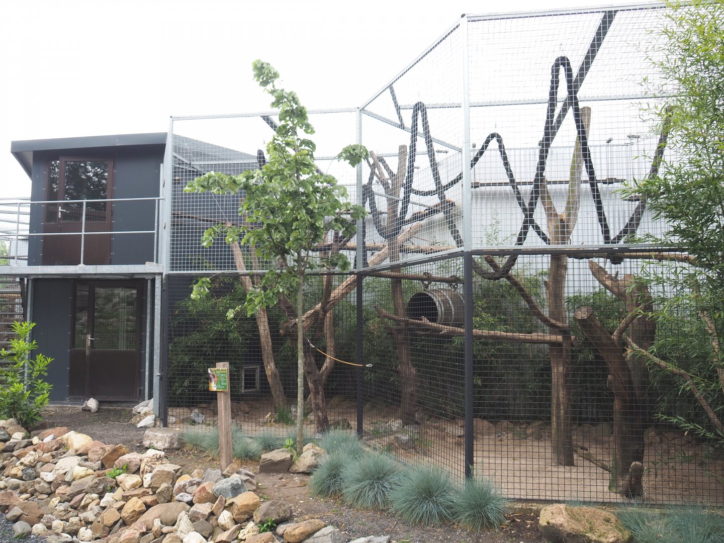 Northern yellow-throated marten exhibit, 2022-05-17