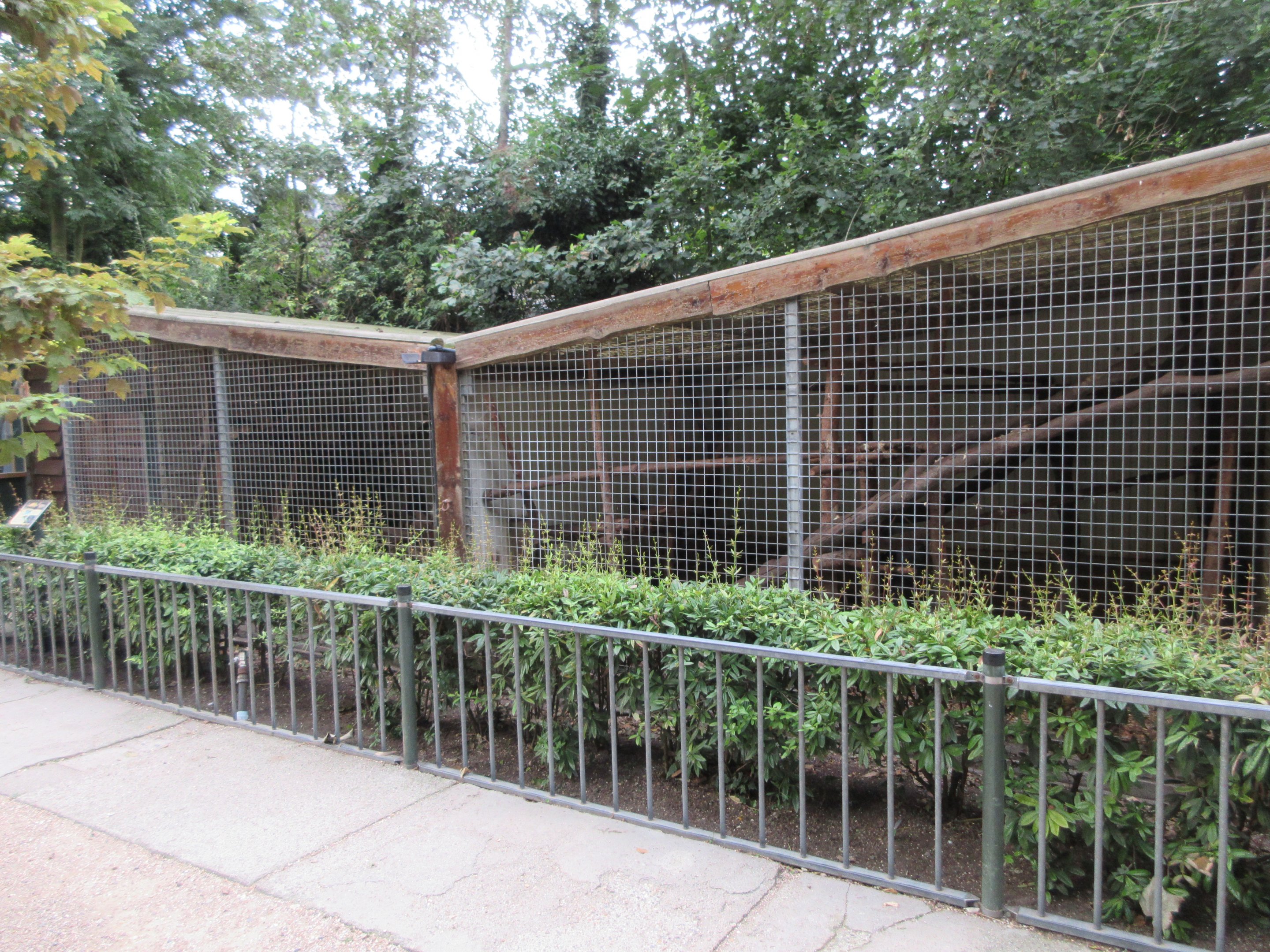 Northern Yellow-throated Marten Exhibits