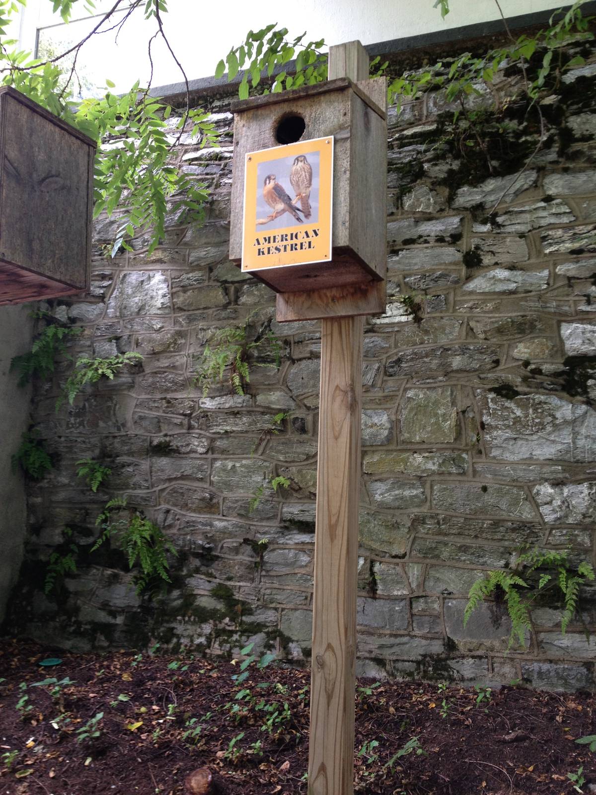 Northlands- Nest Boxes