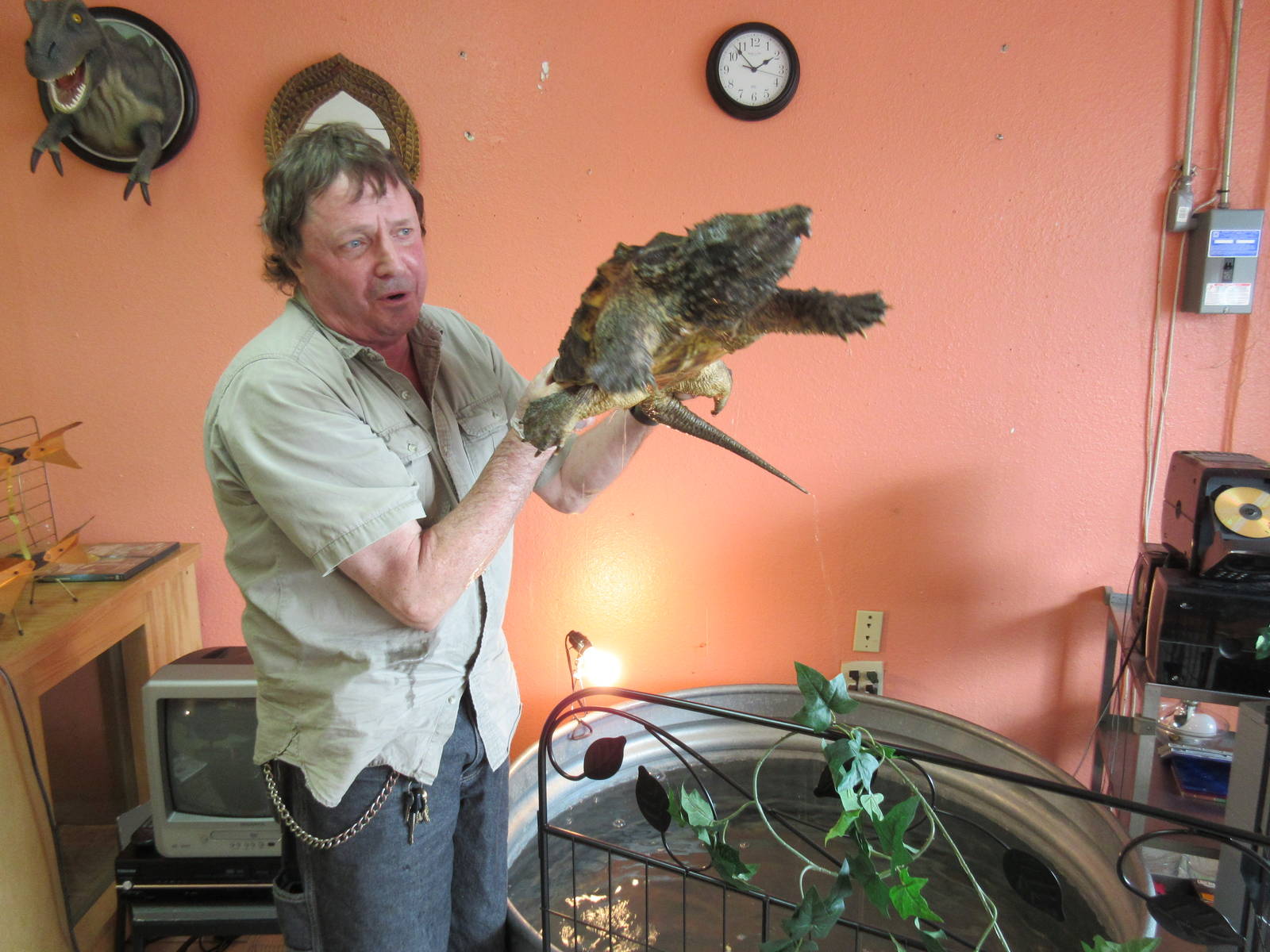 Northwest Arkansas Reptile Museum (owner with snapping turtle)