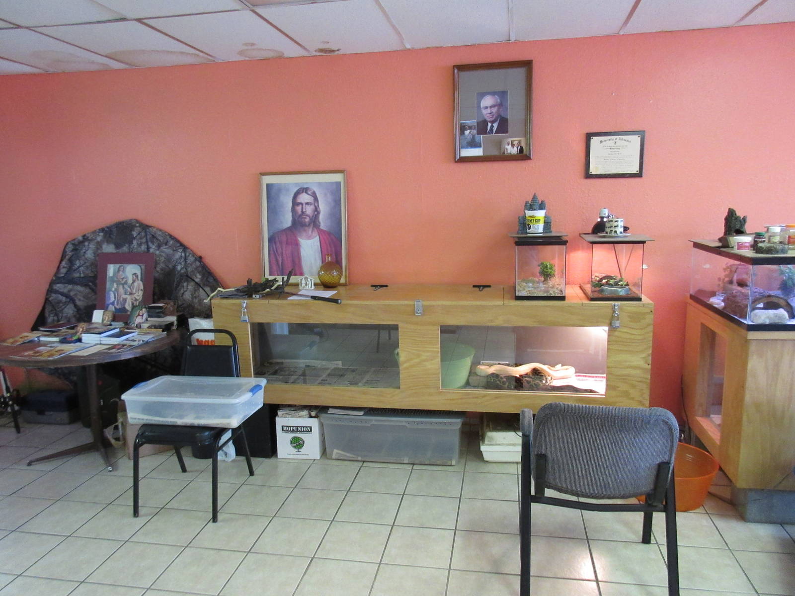 Northwest Arkansas Reptile Museum