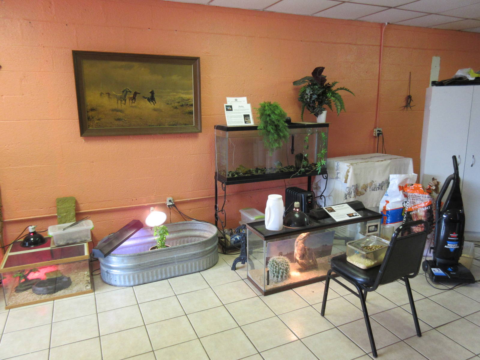 Northwest Arkansas Reptile Museum