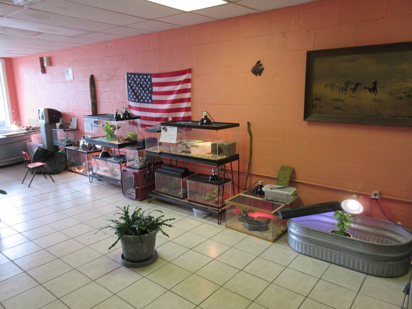 Northwest Arkansas Reptile Museum