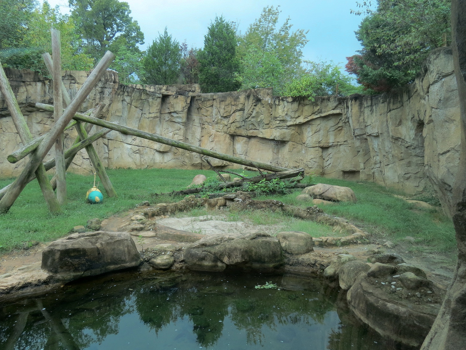 Northwest Passage - American Black Bear Exhibit