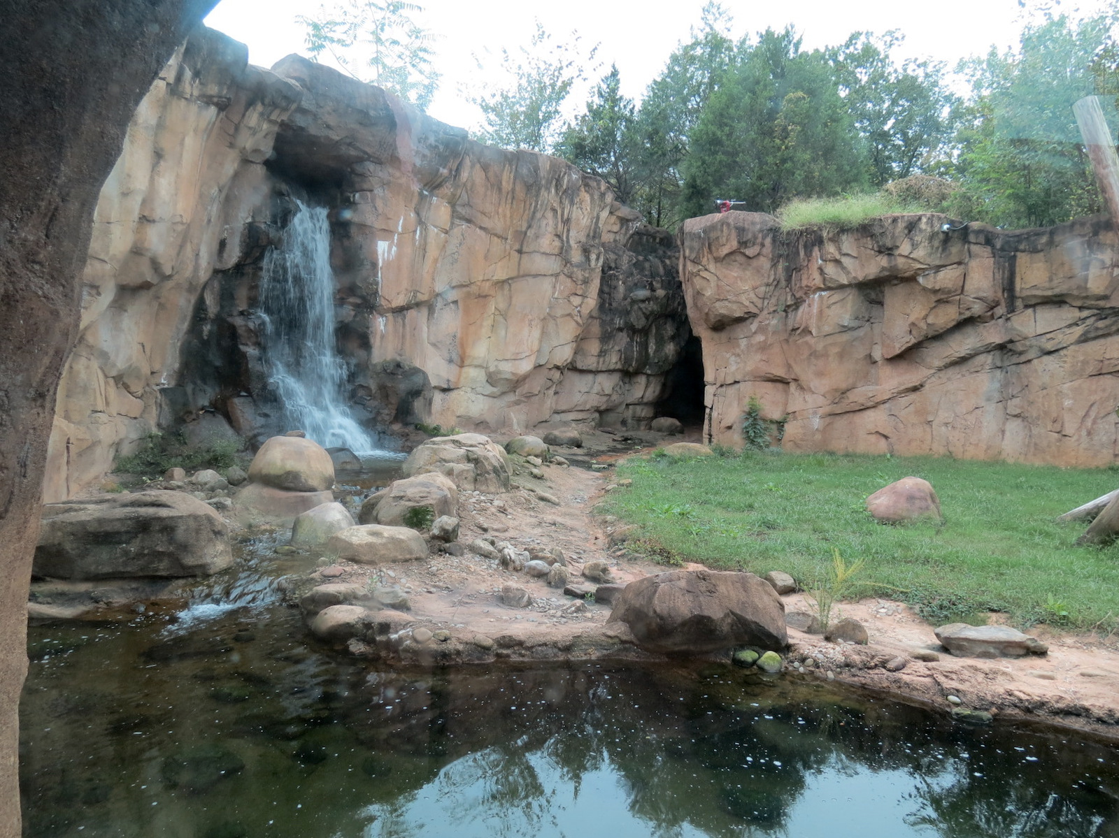 Northwest Passage - American Black Bear Exhibit