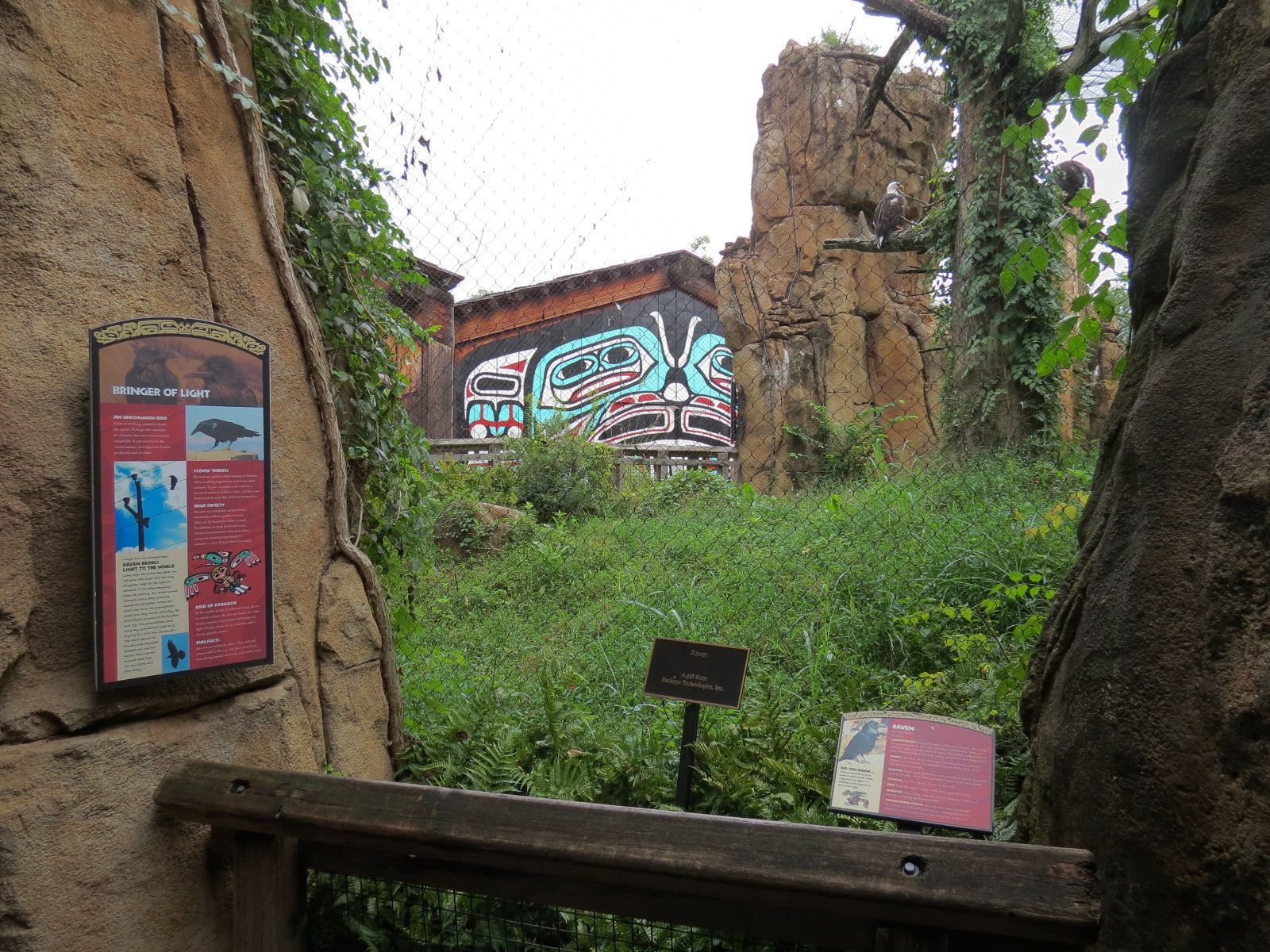 Northwest Passage - Bald Eagle and Raven Exhibit