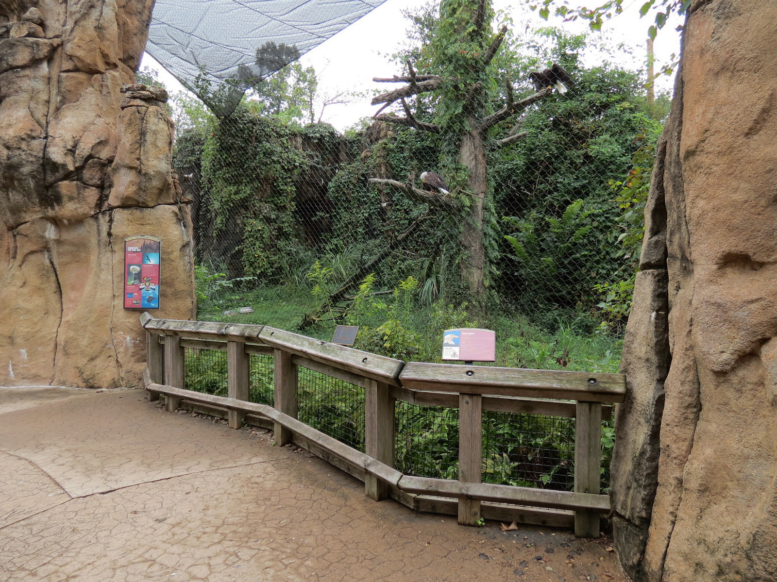Northwest Passage - Bald Eagle and Raven Exhibit