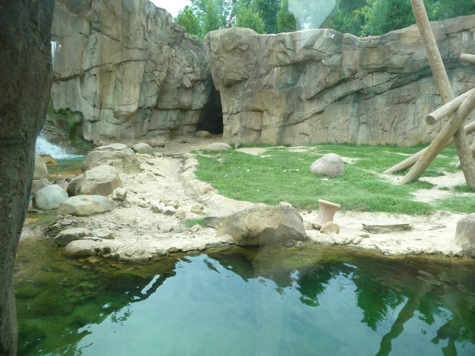 Northwest Passage - Black Bear Exhibit